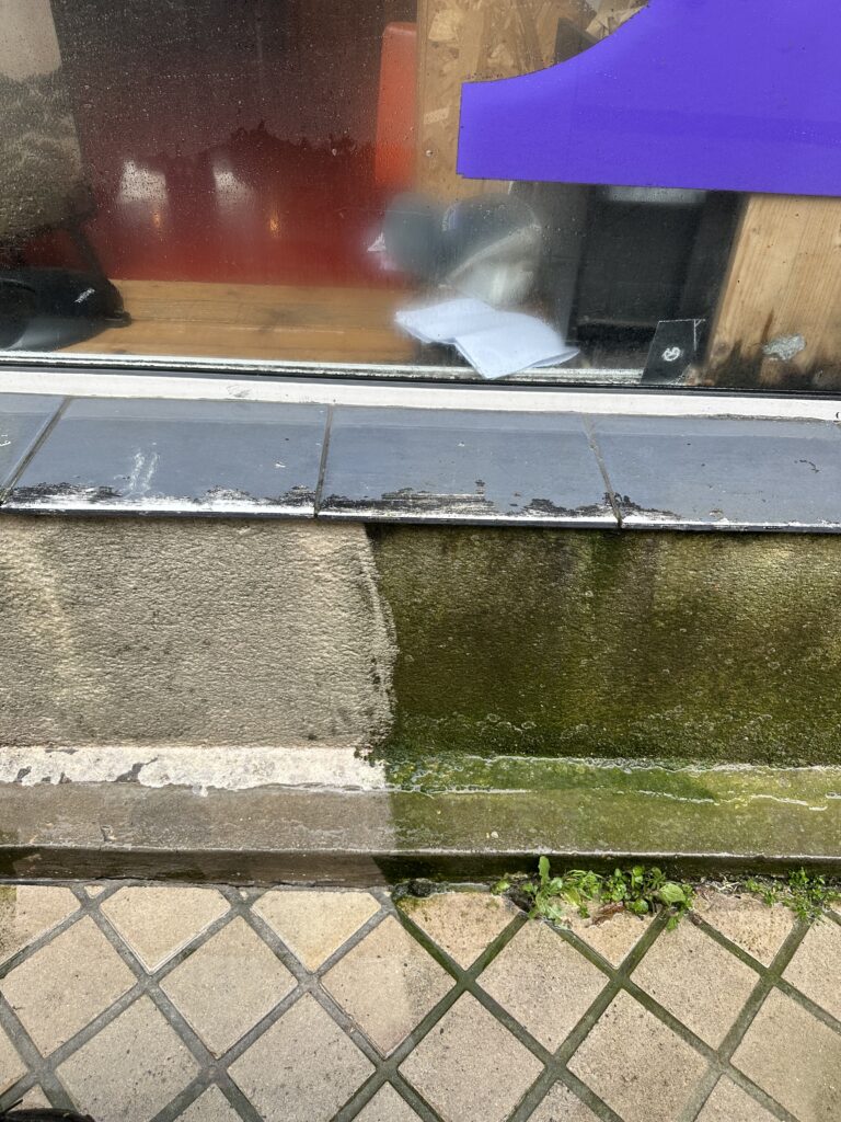 img 7076